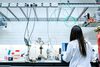 Tips for PhD Candidates on Analyzing Chemical Experiments